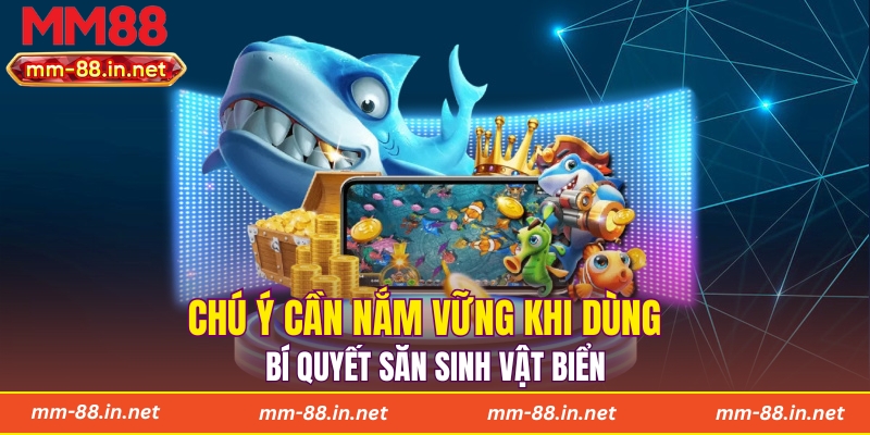Chú ý cần nắm vững khi dùng bí quyết săn sinh vật biển