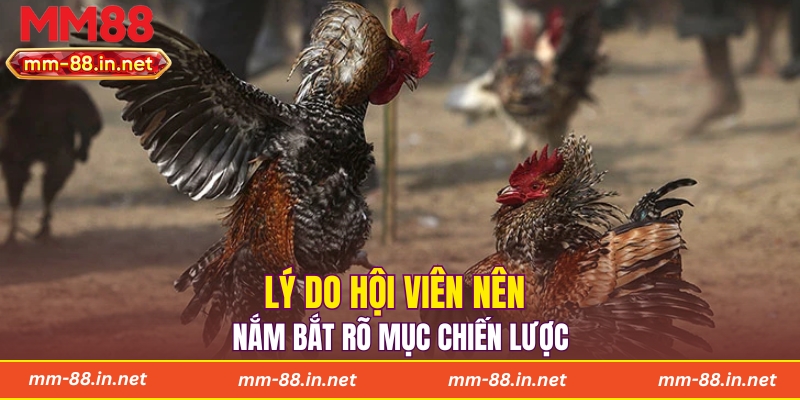 Lý do hội viên nên nắm bắt rõ mục chiến lược